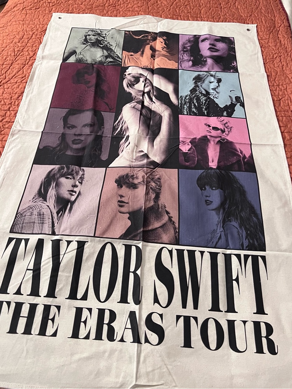 Eras Tour Canvas